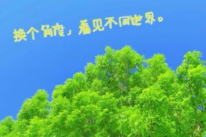 善良的种子（用心灵去爱，世界更美好）