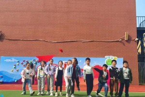爱国之心：一位小学生的感人故事