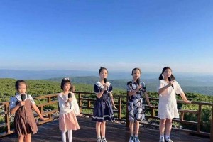 森林精灵的音乐盛典（森林，鸟语花香，与音乐交响）