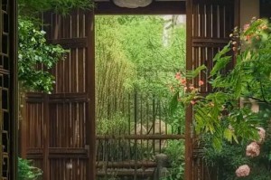 窗外是新世界（以为你打开一扇窗）