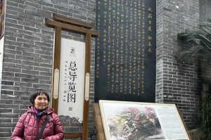 美好春天的回忆（春天如约而至，美好回忆铭刻心间）