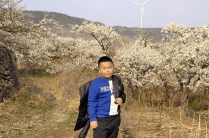生动的教育（小明的奇妙经历）