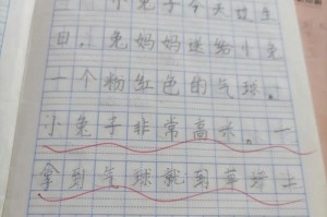 小白兔的故事：我和我的小白兔