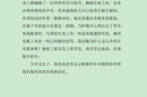 难忘的一场雪