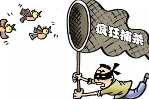 一张照片引起的思考（不要让金钱蒙蔽了眼睛）