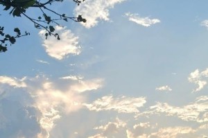 阳光下的幸福（一个普通人的阳光生活）