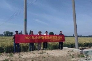 卷起长舟再次出发——一个人的逆境求生故事（坚韧不拔的生命力，闯过险关重重）