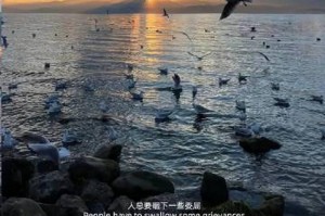 成长的代价——一场值得付出的冒险（探险者的故事）