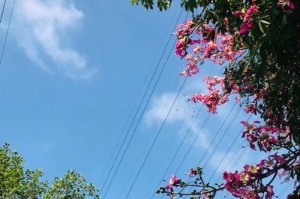 冬日暖阳（抓住身边的每一个温暖瞬间）
