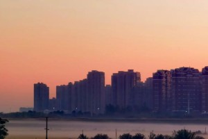 秋意浓郁的金色故事：穿越时光的相逢