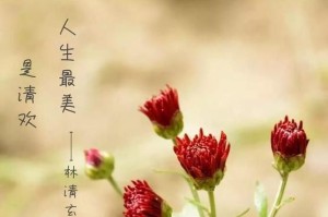 流年独酌，清欢一刻（寻找内心的平静与美好）