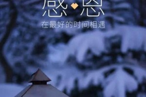 感恩萌芽，生命之树（以生命在感恩中萌生）