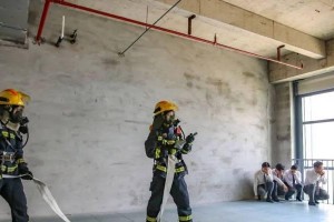 火场逃生的冒险（一个勇敢的女孩挽救了自己和他人）