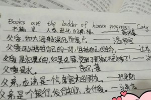题记的故事（李明与小城镇）