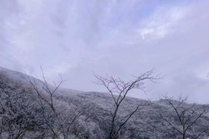 第一场雪（洁白的世界，隐藏的温暖）