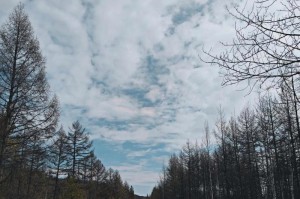 天空下的故事：属于我的片段