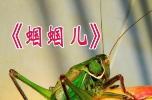 蜘蛛的救赎（一个昆虫世界的故事）