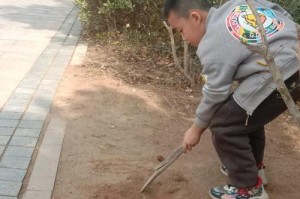 童年乐事（回忆童年趣事，那些令人终身难忘的美好记忆）