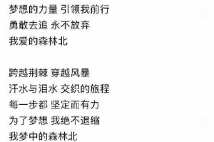 实现梦想的漫长征途——一个平凡人的奋斗史