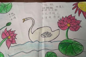 春风送暖，花开满园（一段春日里的遇见）