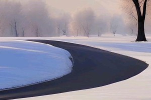 冬日美景：白雪皑皑下的追寻