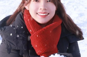 冬日里的雪