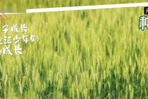 成长的路上（从挫败到成就）