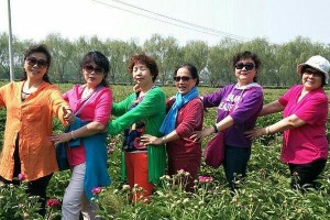 感恩姐姐的陪伴（一段充满爱与感动的故事）