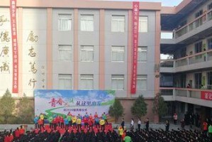 青春的梦想（勇敢追梦，终有成就）