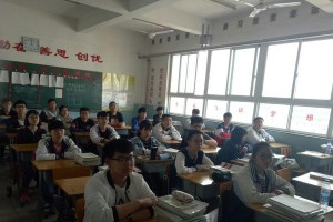梦想之花（心中的梦想，绽放成一朵美丽的花）