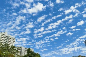 春天永远不会远去——一个温暖的冬日故事（在寒冷的冬季中，有一份温暖的情感等待着你）