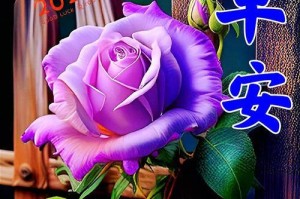 关爱健康，一生幸福（从生活小习惯到长期保健，感受健康带来的幸福）
