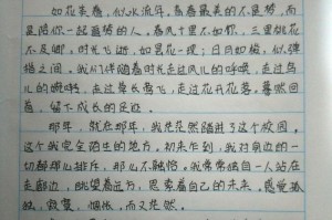初识