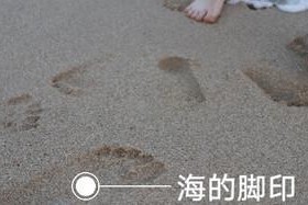 友谊的浪花（一朵花开出友情之花）