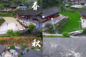 我故乡四季之谜（发现四季的神奇魔力）