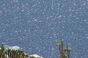 夏日盛宴——夏天是多姿多彩的（在这个季节里，感受自然的美好和人生的热情）