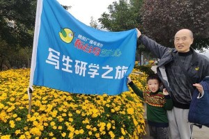 秋日的快乐（一场美妙的演出）