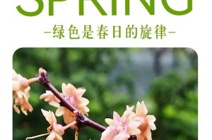 风景背后的故事（风景背后的故事）