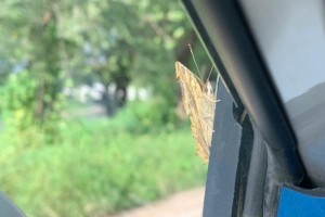 烦恼，到底是什么？（一个年轻人的心路历程）