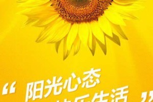 乐观者的世界（在逆境中寻找希望）