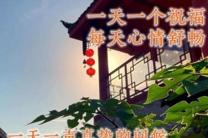 无畏挑战，勇攀高峰（无畏挑战，勇攀高峰）