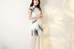 一颗流星的轨迹（一颗流星的轨迹）