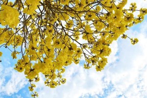 新探索的春天：在追寻中发现自我