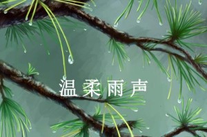 在雨声中尋找自己（在雨声中尋找自己）