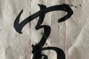 初心不忘，方得初心（一场旅程，带我找回初心）